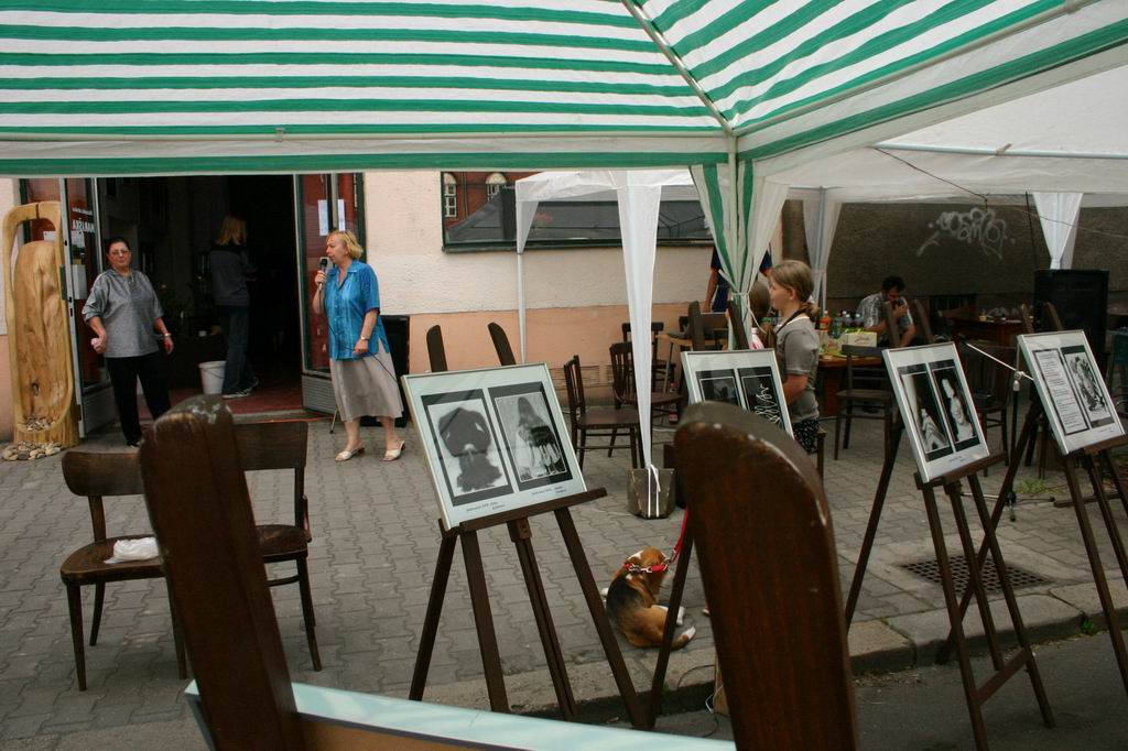 Maryškův salón