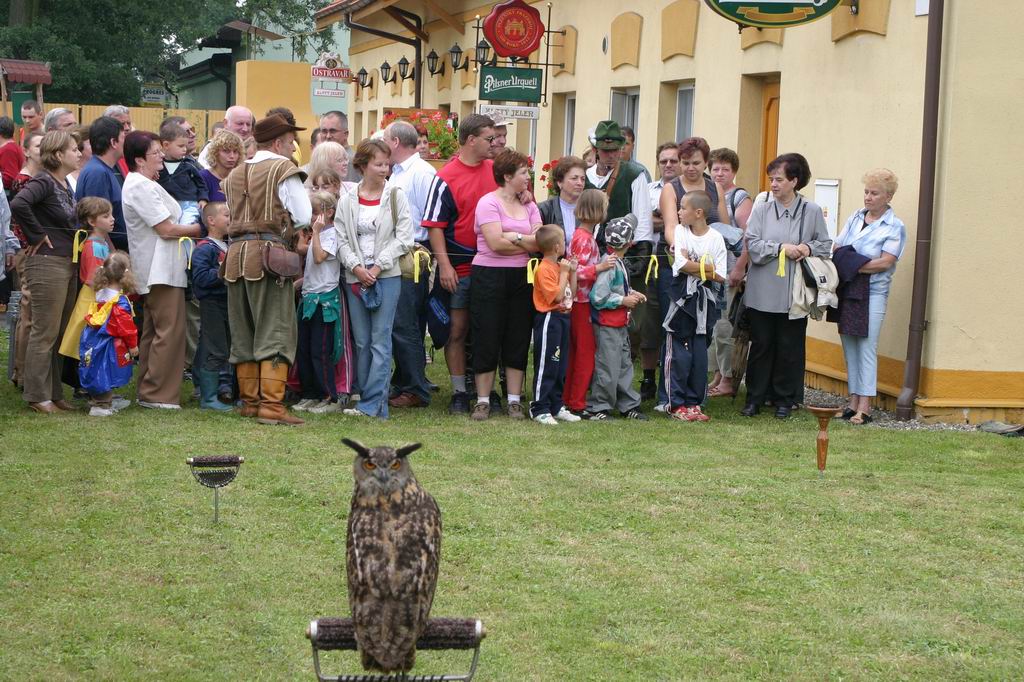 Sokolnická show