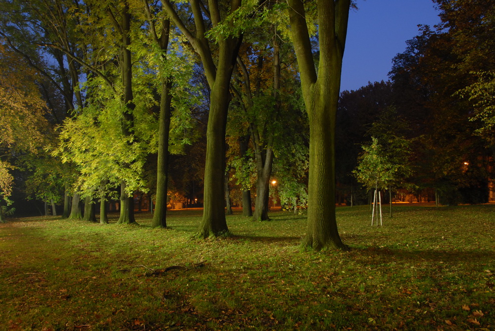 Park Petra Bezruče