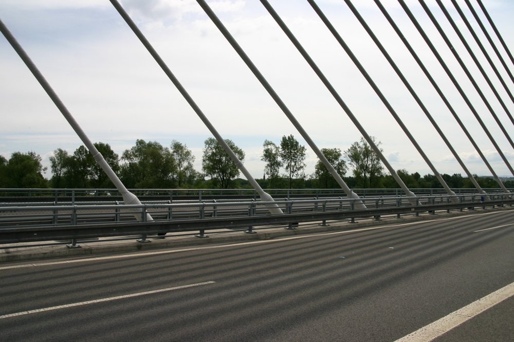 Vrbice
