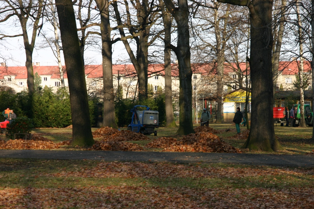 Úklid parku