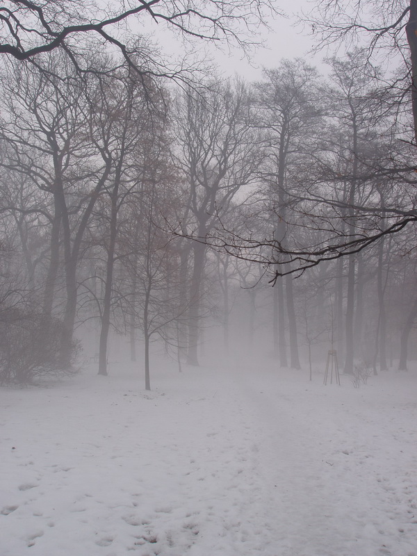 Park Petra Bezruče