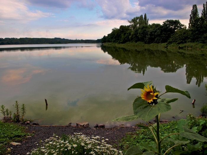 Záblatský rybník
