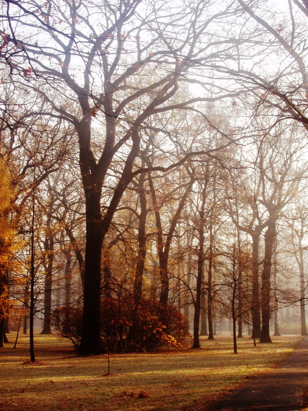 Park Petra Bezruče