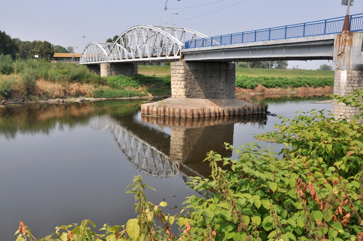 Odra na suchu