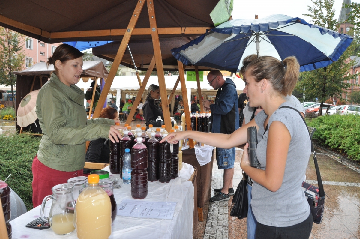 Vinobraní 2016