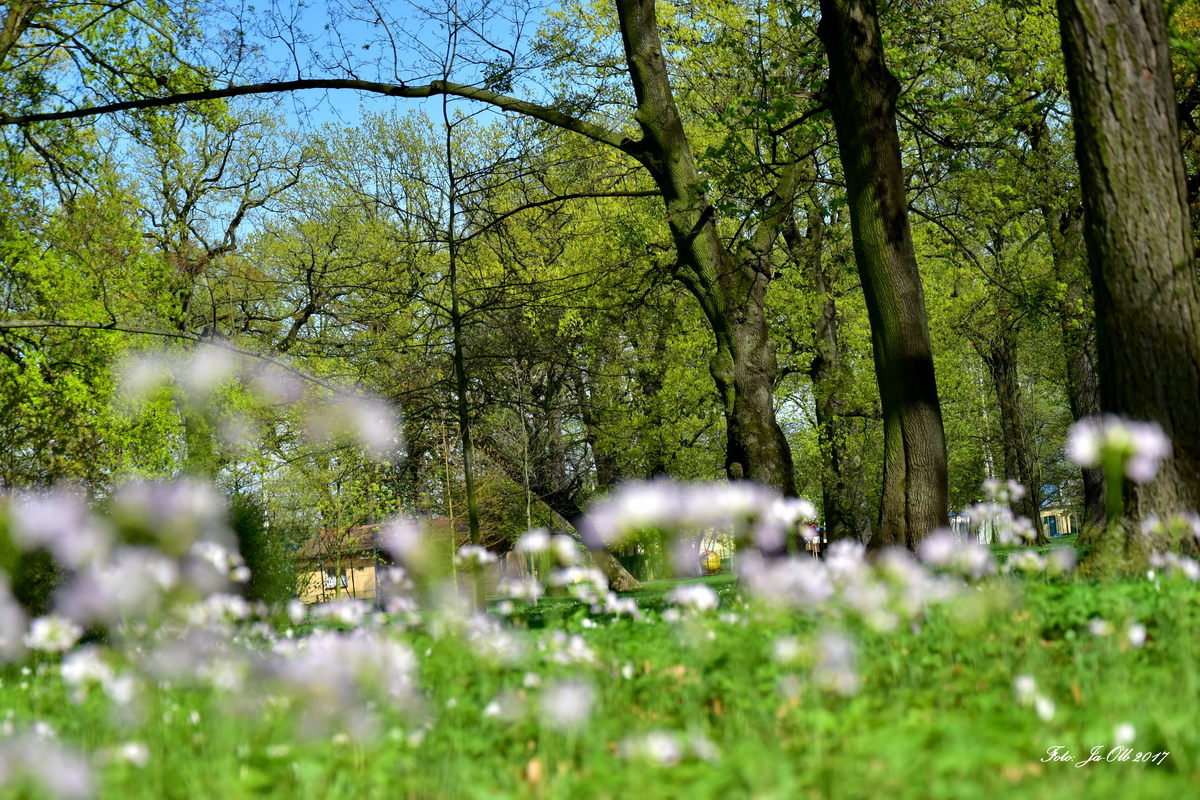Park Petra Bezruče
