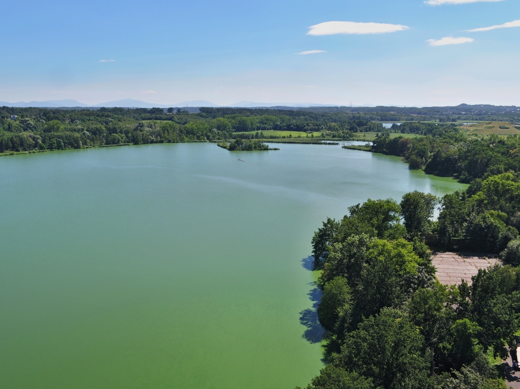 Vrbické jezero