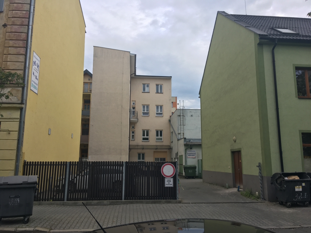 Alergologická ambulance - MUDr. Irma Trynková