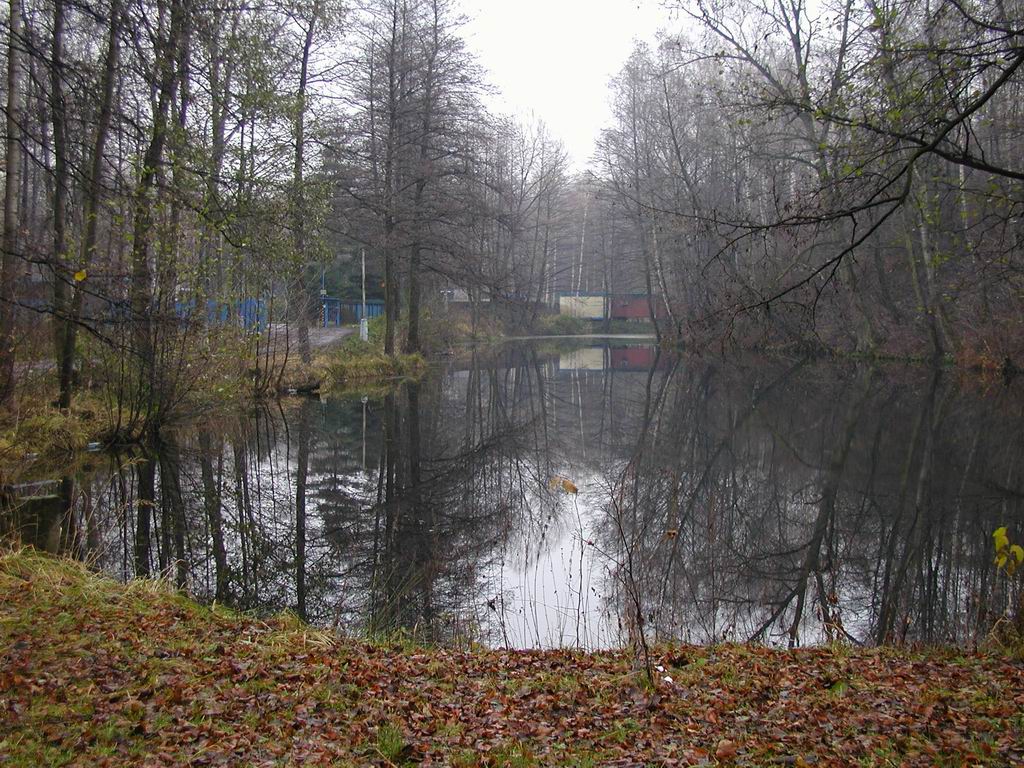 Gliňoč