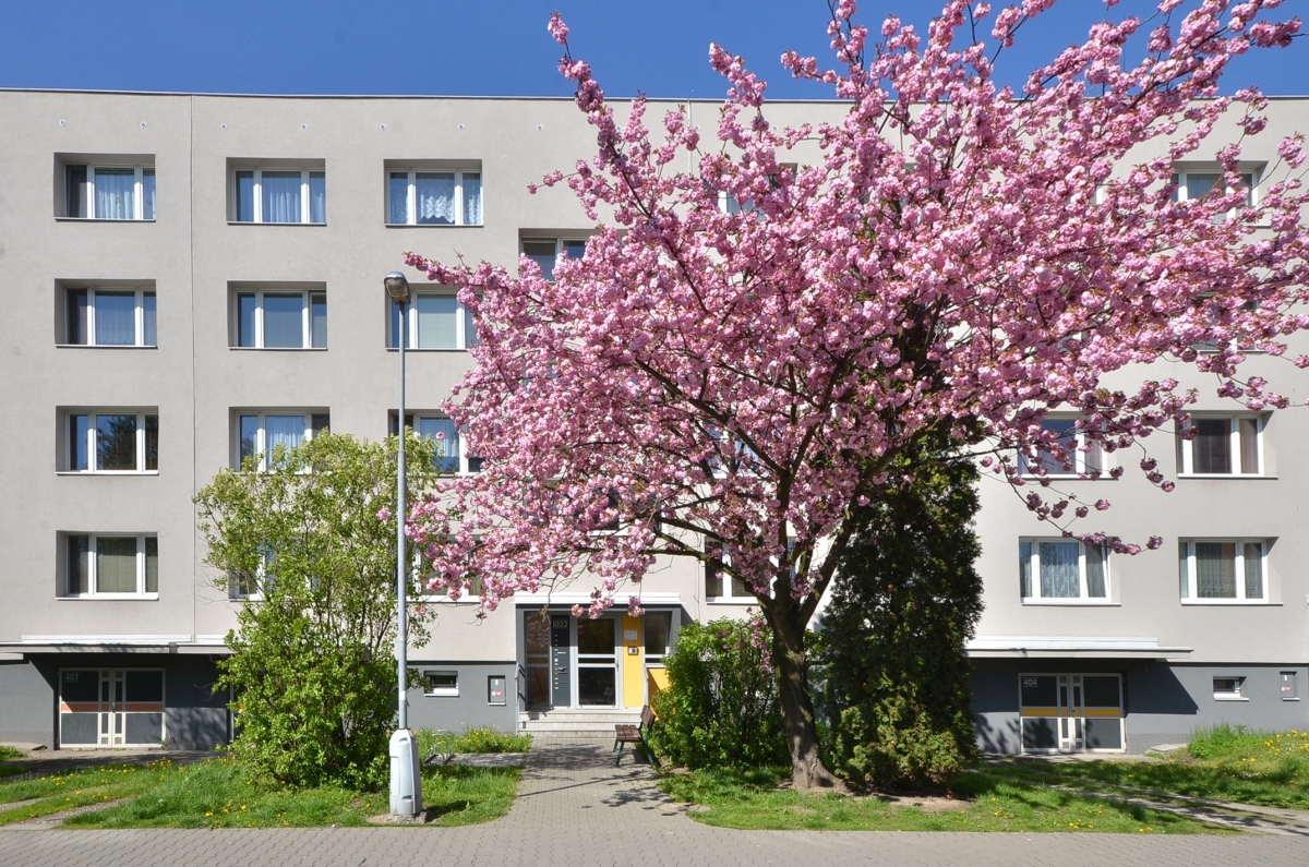 Osvoboditelů 1022