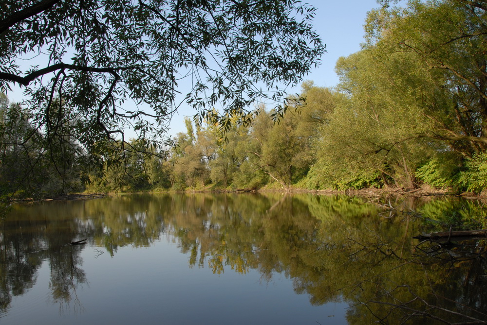 Slepé rameno Odry
