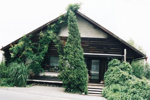 Soukromá mateřská škola Bambino