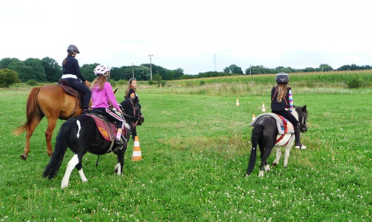 Sportovní stáj EquiRex