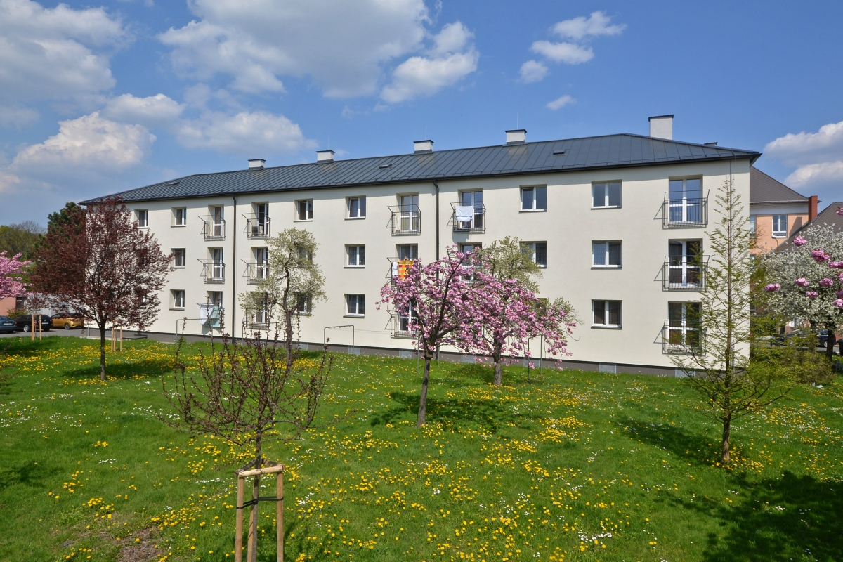 Vrchlického 913