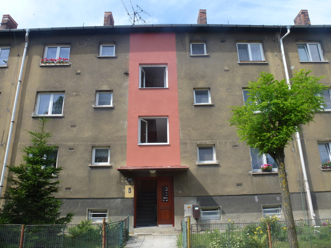 Vrchlického 919