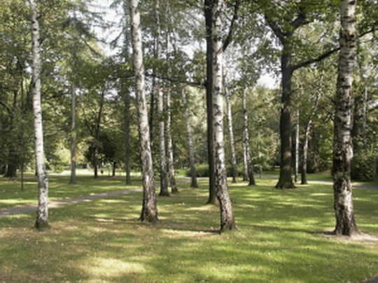 Park Petra Bezruče je zelenou oázou Bohumína už sto let