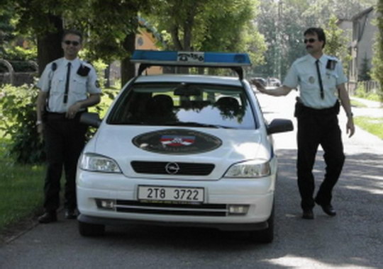 Straky nespí ani v novém roce