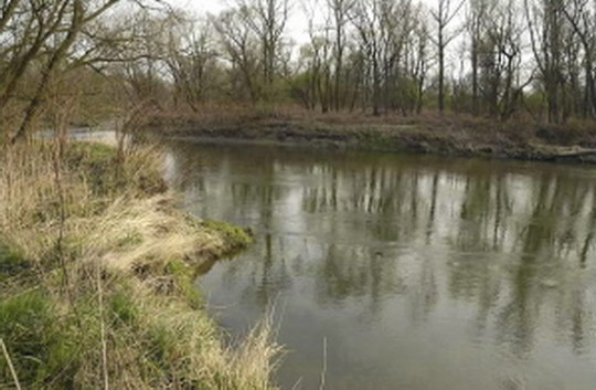 Voda, Odra nebo meandry na obrázcích i v poezii