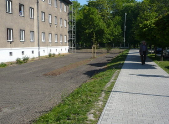 Zahradníci dál pracují na nové zeleni v okolí domu na Seifertově ulici