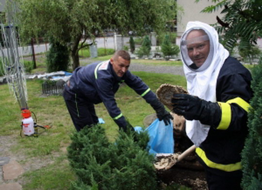 Dobrovolní hasiči zasahovali ve Skřečoni proti roji podrážděných vos