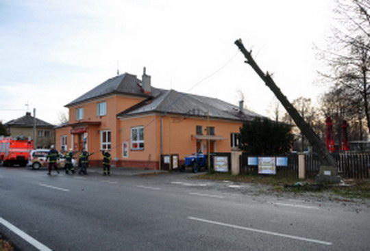 U sokolovny v Záblatí dnes padla k zemi nemocná pamětní lípa