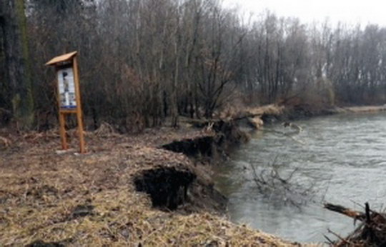 Kvůli utrženému břehu přemístili naučnou tabuli v meandrech Odry