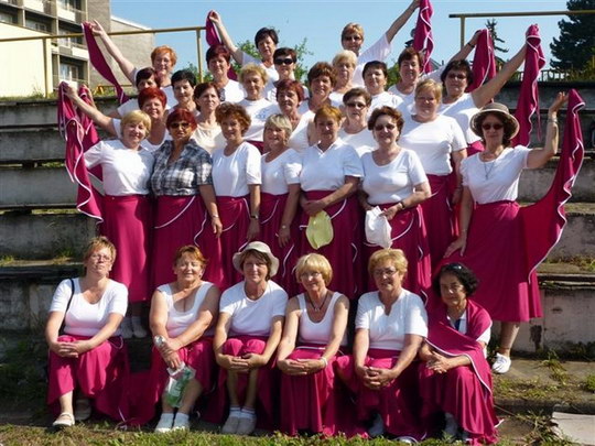 Sokoli úspěšně zvládli celokrajský slet, teď už je před nimi velké finále v Praze