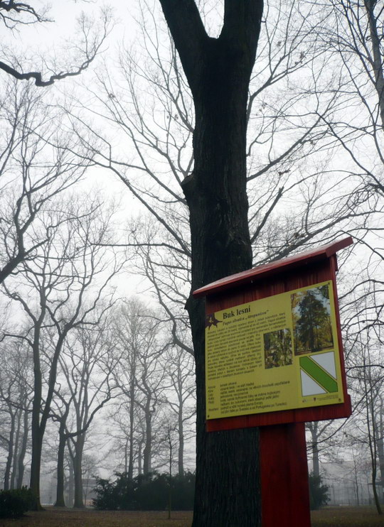 Z 29 infopanelů naučné stezky v parku přežilo 7, radnice je do jara opraví
