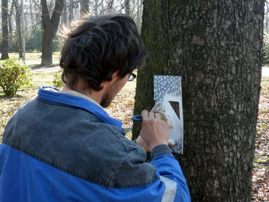 Stromy z naučné stezky v parku návštěvníci snadno identifikují díky novým značkám