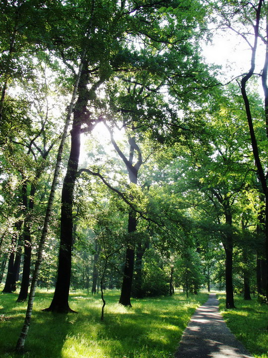 Fragments of the park's history