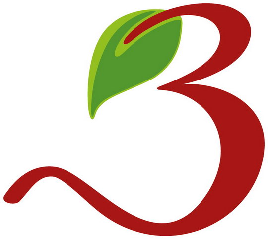 Logo a logotyp města Bohumína