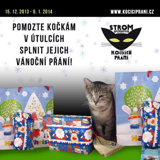 Vánoční Strom splněných kočičích přání také letos