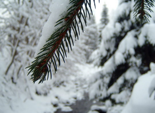 Po sněžení přijde náledí, upozorňují meteorologové