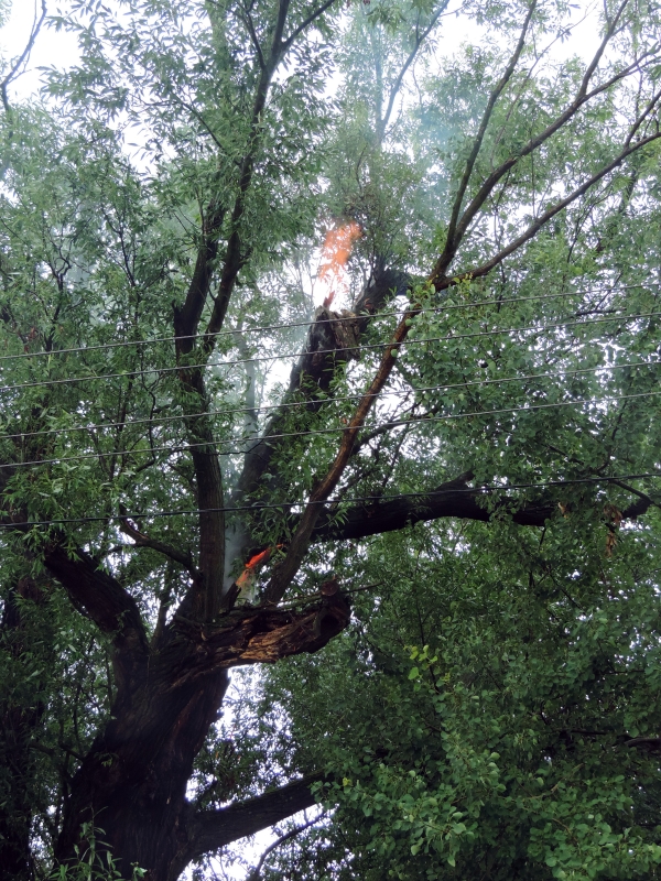 Blesk v Bohumíně zapálil strom, v Rychvaldě dům