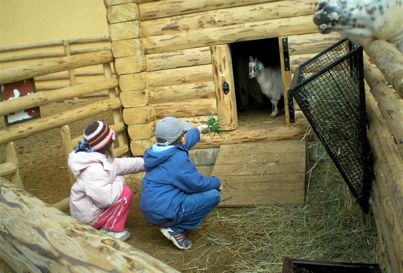 V parku bude malá zvířecí farma, pojmenujte ji