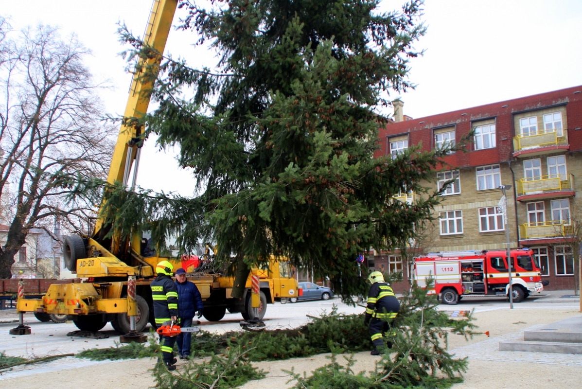 Starobohumínské náměstí se pyšní výstavním smrkem, městu jej darovali manželé Střeštíkovi z Dolní Lutyně