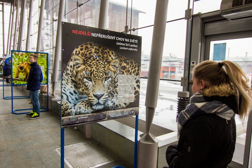 Nej ostravské zoo na nádraží v Bohumíně