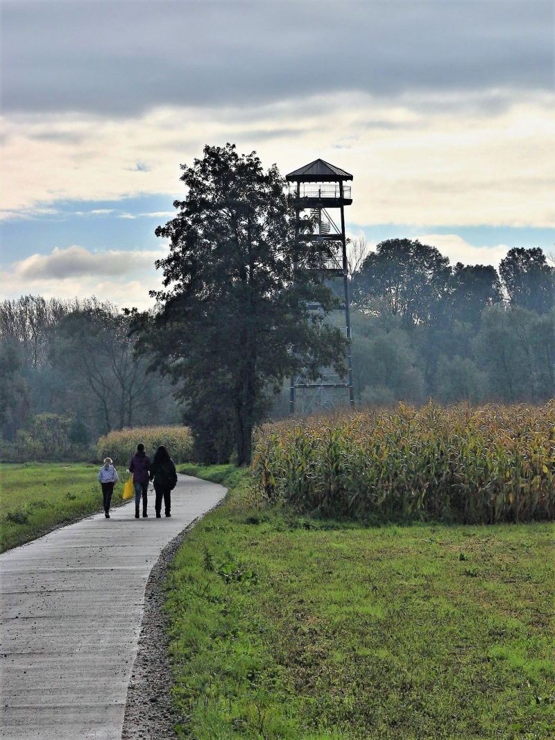 Největší turistická akce letoška nabídne v Bohumíně nevšední atrakce i novou rozhlednu