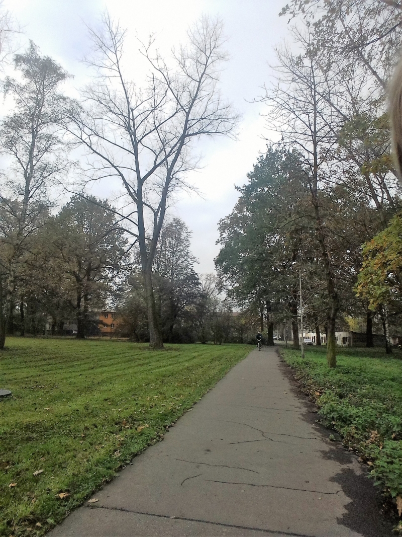 Možnost cyklo dopravy po Fibichově ulici projedná komise