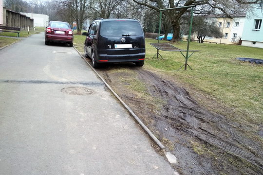 Ochota parkovat dále od domu je nízká, ničení zeleně auty je celospolečenský problém
