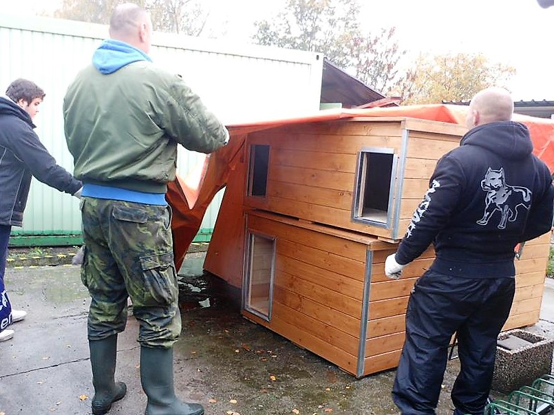 Opuštění psi z bohumínského útulku mají nové boudy