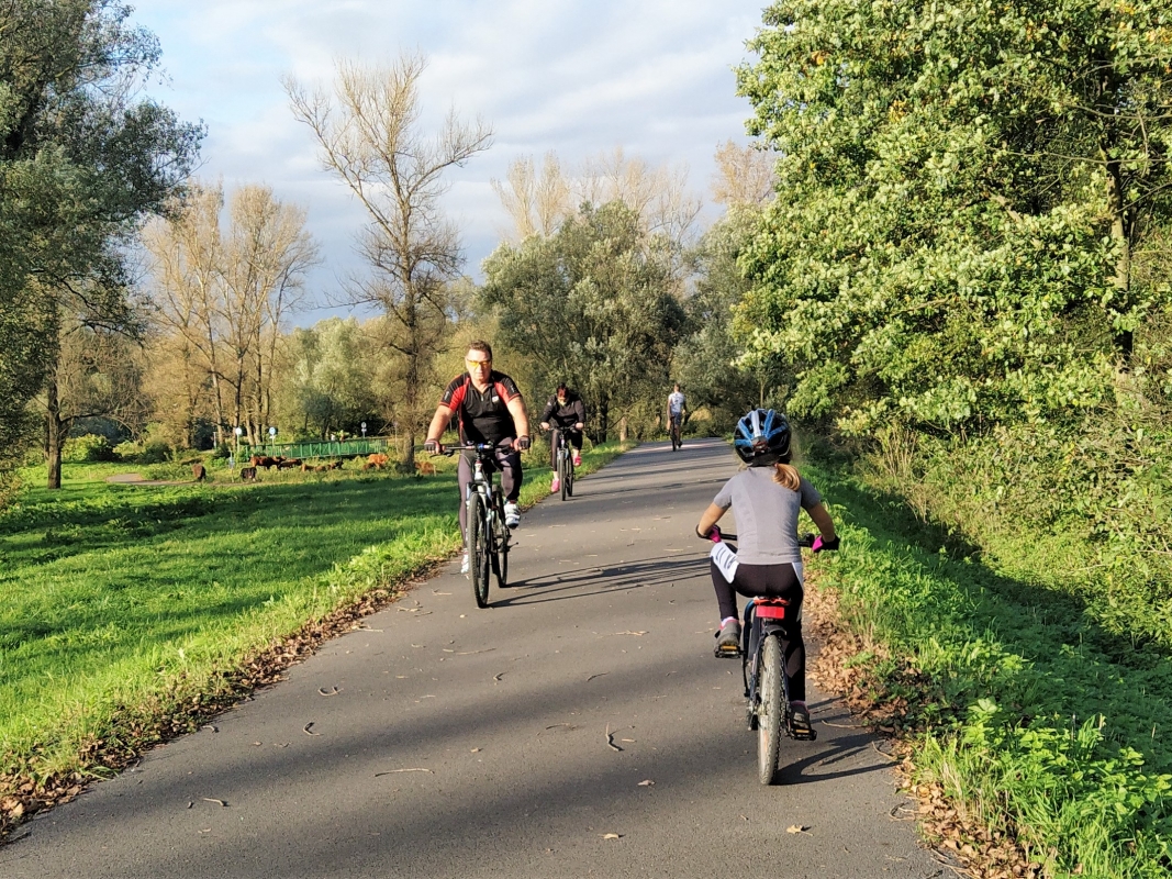 Před dokončením cyklo okruhu kolem Vrbického jezera se musí posoudit jeho vliv na životní prostředí