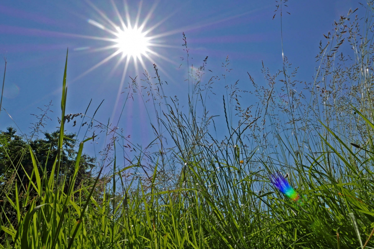 Kvůli suchu hrozí vznik a šíření požárů, upozornili meteorologové