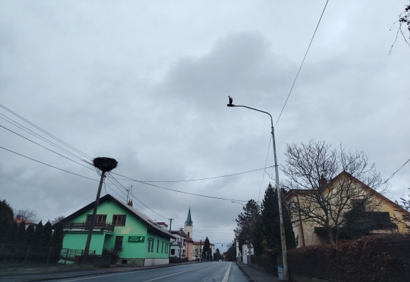První čápi letos dorazili na Bohumínsko už počátkem března, hlásí Dětmarovice