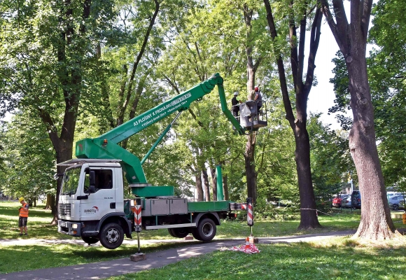 Bohumín omladí stoletý park Petra Bezruče, kácení se dotkne jen zlomku stromů, přibudou desítky nových