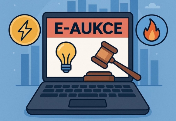 Elektronická dražba elektřiny a plynu pro domácnosti přinesla úsporu