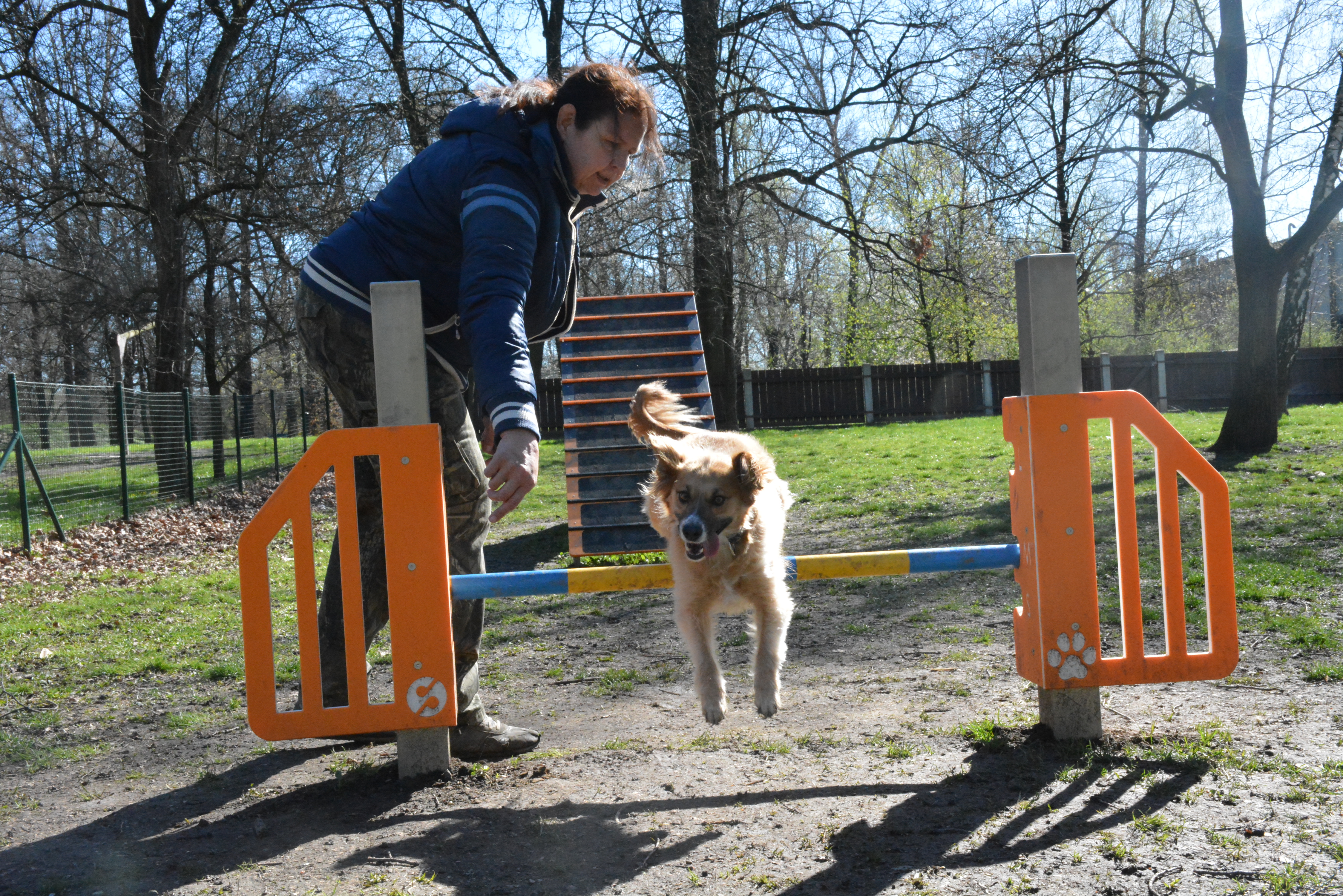 Agility parčík má úspěch, zvažujeme jeho rozšíření