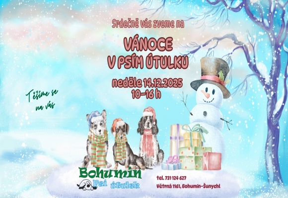 Dobrý skutek a tlapku na to, je tu další ročník akce Vánoce v útulku