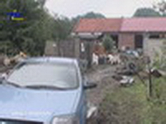 Přívalové deště aneb pomáháme druhým - show video
